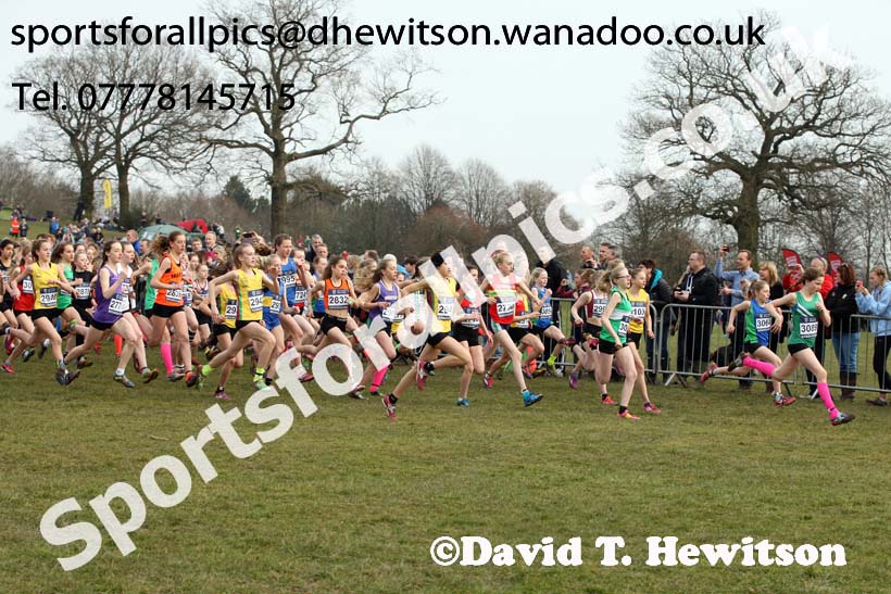 Girls under-13s 2016 Inter Counties Cross Country Champs. and Cross Challenge Final, Cofton Park, Birmingham. Photo: David T. Hewitson/Sports for All Pics